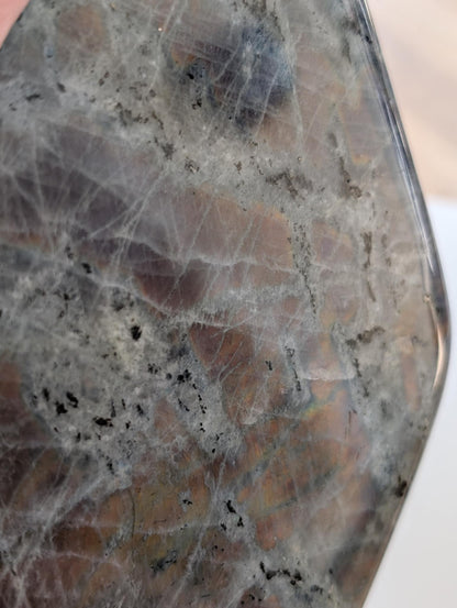 Forme libre de Labradorite violette polie