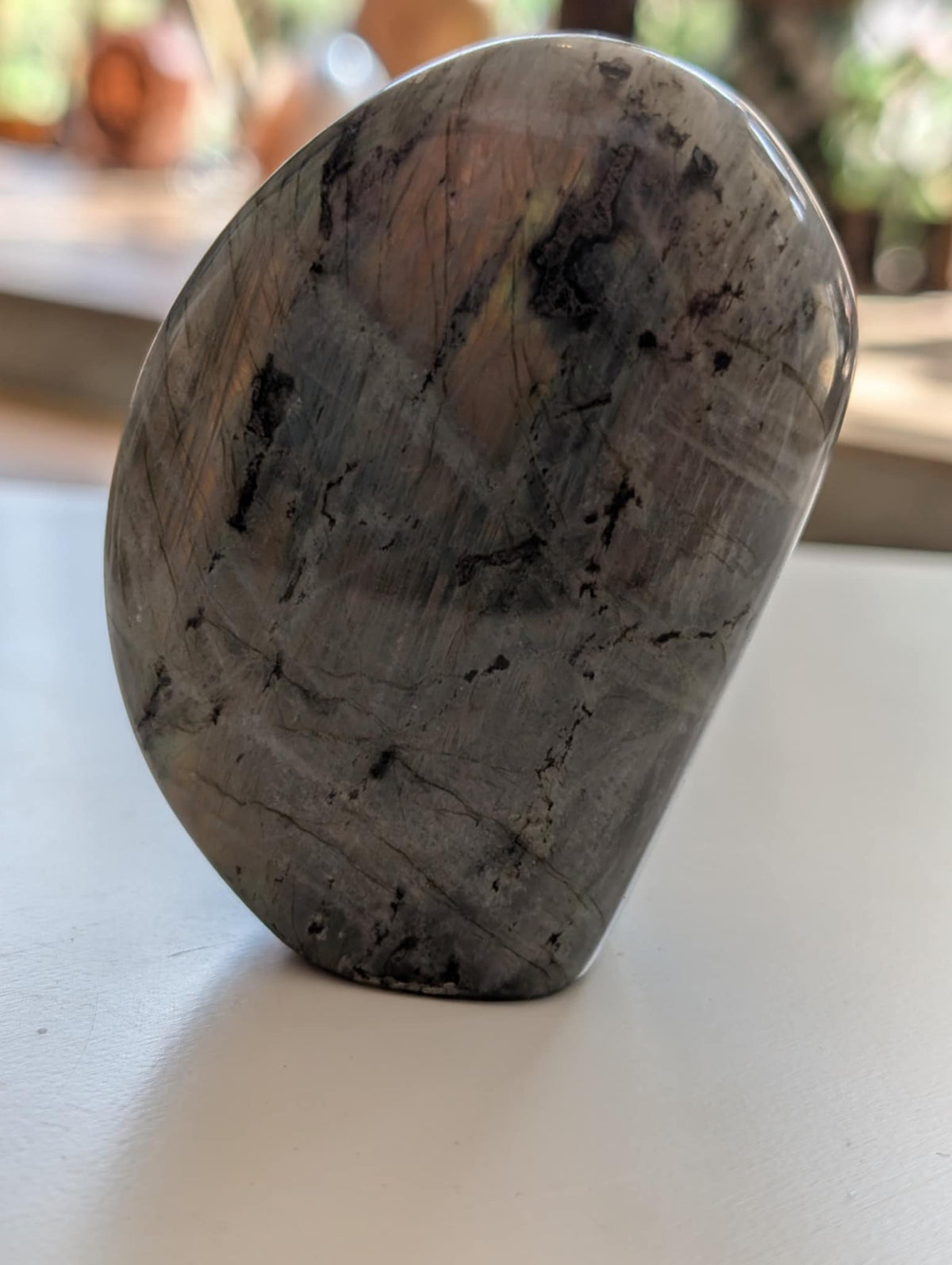 Forme libre de Labradorite violette polie