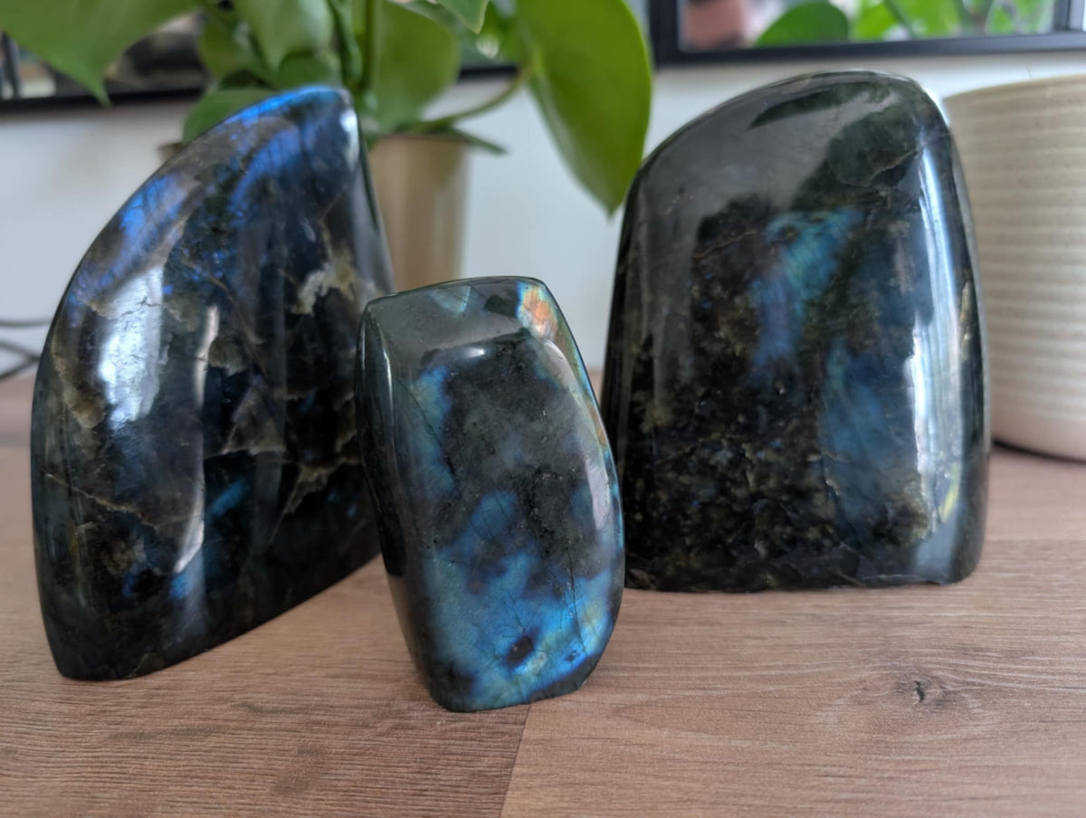 Labradorite bleue Polie