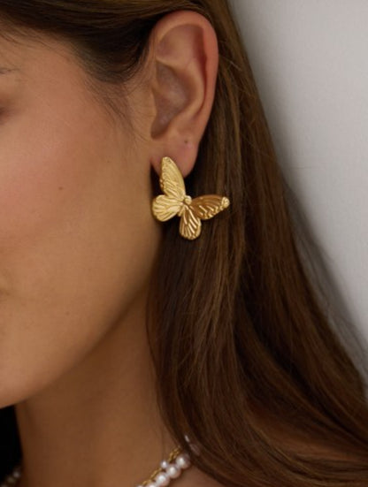 Boucle d'oreille papillon