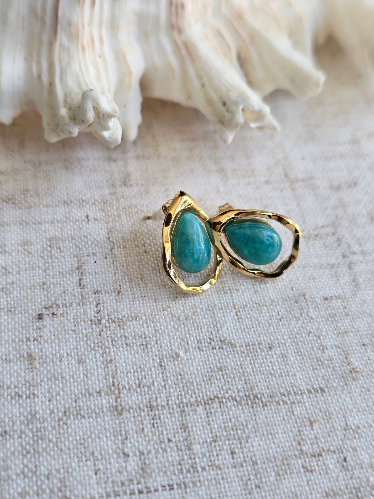 Puce d'oreille