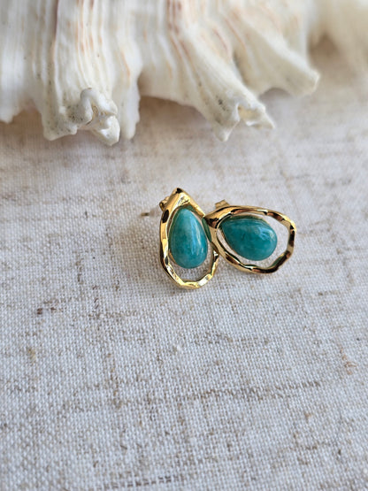 Puce d'oreille
